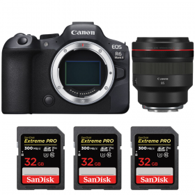Canon EOS R6 Mark II + RF 85 mm f/1,2 L USM + 3 SanDisk 32GB Extreme PRO UHS-II SDXC 300 MB/s-1