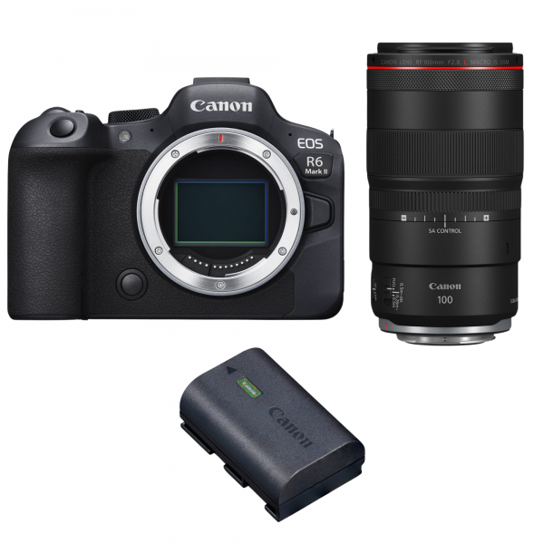 Canon EOS R6 Mark II + RF 100mm f/2.8 L Macro IS USM + 1 Canon LP-E6NH-1