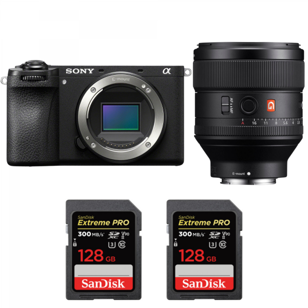 Sony A6700 + FE 85mm f/1.4 GM + 2 SanDisk 128GB Extreme PRO UHS-II SDXC 300 MB/s-1