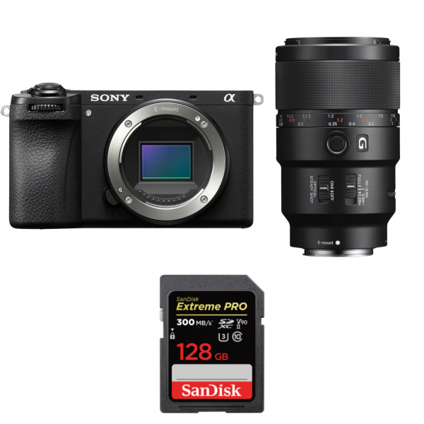 Sony A6700 + FE 90mm f/2.8 Macro G OSS + 1 SanDisk 128GB Extreme PRO UHS-II SDXC 300 MB/s-1