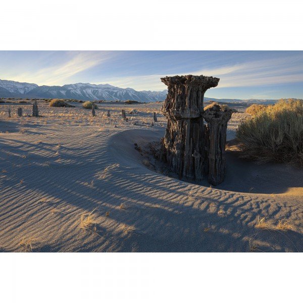 Canon RF 16-28mm f/2.8 IS STM-7