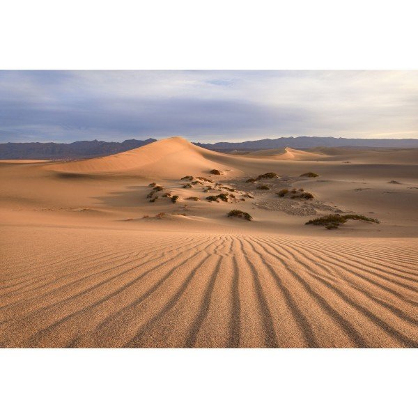 Canon RF 16-28mm f/2.8 IS STM-10