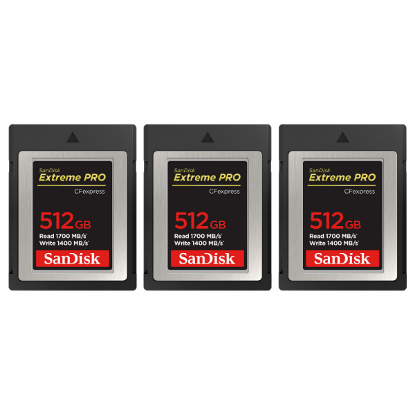 Canon EOS R1 + RF 20mm f/1.4 L VCM + 3 SanDisk 512GB Extreme PRO CFexpress Type B-14