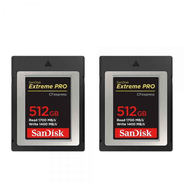 Canon EOS R1 + RF 50mm f/1.4 L VCM + 2 SanDisk 512GB Extreme PRO CFexpress Type B + Canon LP-E19-14