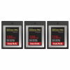 Canon EOS R1 + RF 70-200mm f/2.8 L IS USM Z Negro + 3 SanDisk 128GB Extreme PRO CFexpress Type B-15