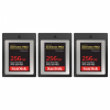 Canon EOS R1 + RF 70-200mm f/2.8 L IS USM Z Black + 3 SanDisk 256GB Extreme PRO CFexpress Type B + 2 Canon LP-E19-15