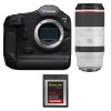 Canon EOS R1 + RF 100-500mm f/4.5-7.1 L IS USM + 1 SanDisk 128GB Extreme PRO CFexpress Type B-1