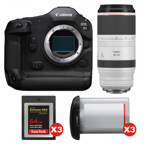Canon EOS R1 + RF 100-500mm f/4.5-7.1 L IS USM + 3 SanDisk 64GB Extreme PRO CFexpress Type B + 3 Canon LP-E19-1