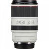 Canon EOS R1 + RF 70-200mm f/2.8 L IS USM + 3 SanDisk 128GB Extreme PRO CFexpress Type B + 2 Canon LP-E19-12