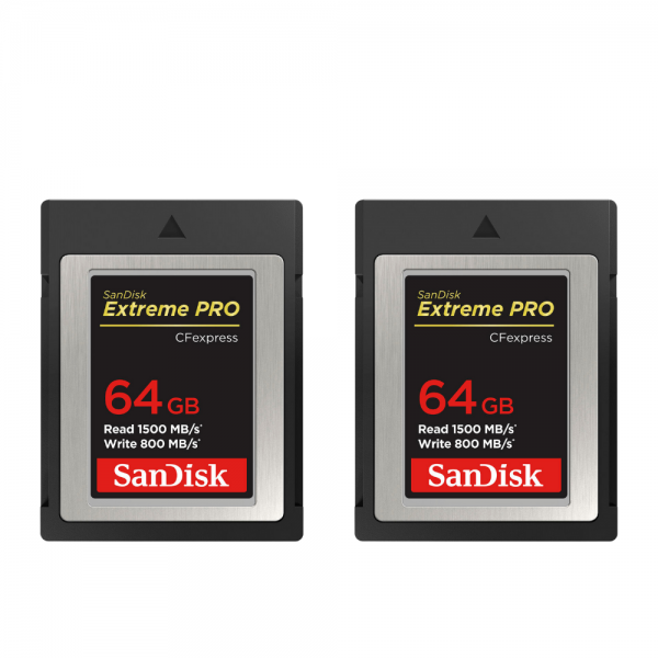 Canon EOS R3 + RF 100-500mm f/4.5-7.1 L IS USM + 2 SanDisk 64GB Extreme PRO CFexpress Type B-11