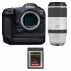 Canon EOS R3 + RF 100-500mm f/4.5-7.1 L IS USM + 1 SanDisk 128GB Extreme PRO CFexpress Type B-1