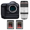 Canon EOS R3 + RF 100-500mm f/4.5-7.1 L IS USM + 2 SanDisk 256GB Extreme PRO CFexpress Type B-1
