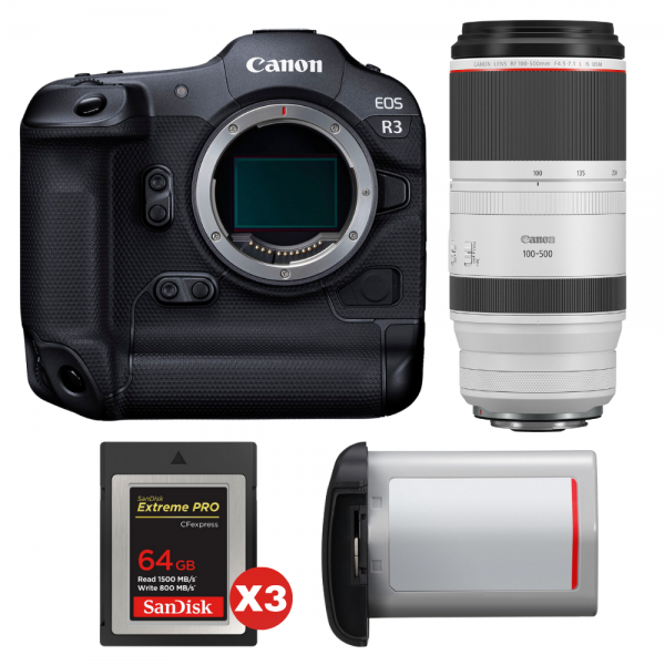 Canon EOS R3 + RF 100-500mm f/4.5-7.1 L IS USM + 3 SanDisk 64GB Extreme PRO CFexpress Type B + Canon LP-E19-1