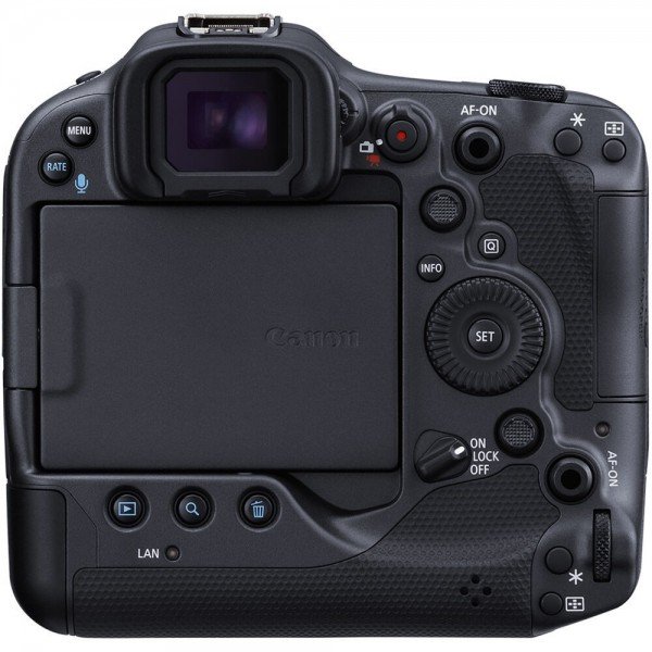 Canon EOS R3 + RF 100-500mm f/4.5-7.1 L IS USM + 2 SanDisk 64GB Extreme PRO CFexpress Type B + 3 Canon LP-E19-3