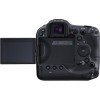 Canon EOS R3 + RF 100-500mm f/4.5-7.1 L IS USM + 2 SanDisk 64GB Extreme PRO CFexpress Type B + 3 Canon LP-E19-4