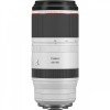Canon EOS R3 + RF 100-500mm f/4.5-7.1 L IS USM + 2 SanDisk 64GB Extreme PRO CFexpress Type B + 3 Canon LP-E19-8