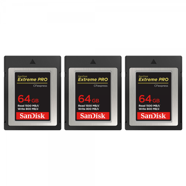 Canon EOS R3 + RF 24-105mm f/4 L IS USM + 3 SanDisk 64GB Extreme PRO CFexpress Type B + 2 Canon LP-E19-11