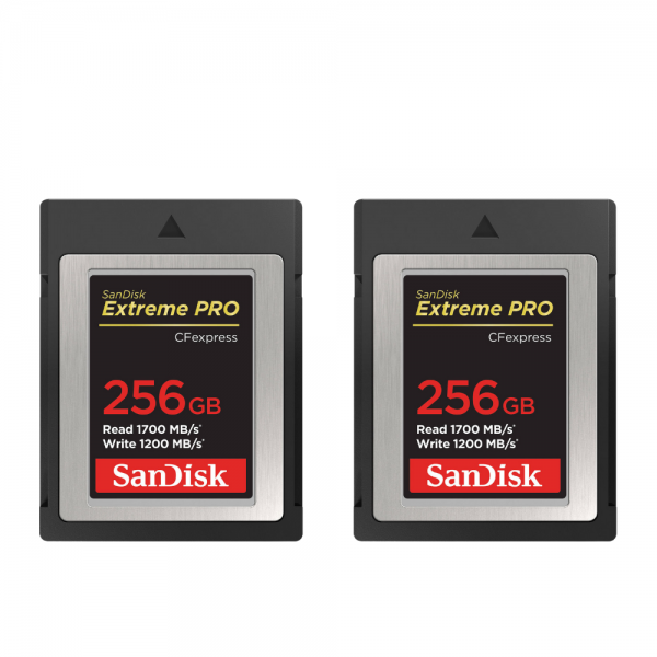 Canon EOS R3 + RF 24-105mm f/4 L IS USM + 2 SanDisk 256GB Extreme PRO CFexpress Type B + 2 Canon LP-E19-11