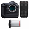 Canon EOS R3 + RF 100mm f/2.8 L Macro IS USM + 1 Canon LP-E19-1