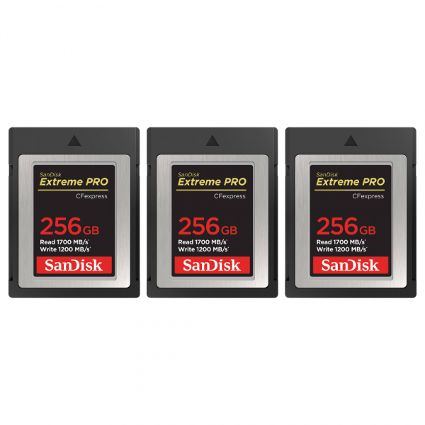 Canon EOS R3 + RF 14-35mm f/4 L IS USM + 3 SanDisk 256GB Extreme PRO CFexpress Type B-12