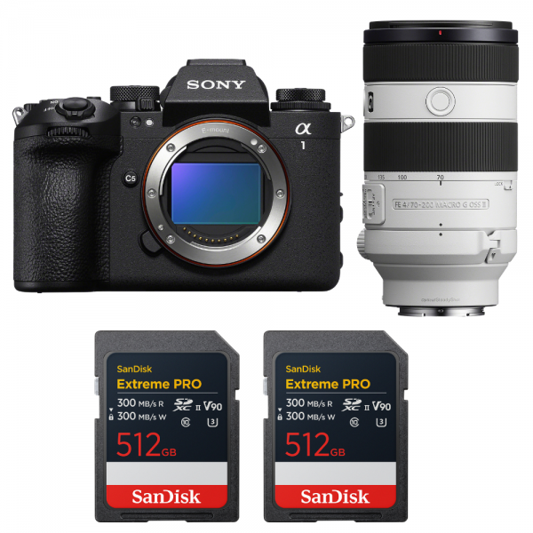 Sony alpha 1 II + FE 70-200mm f/4 Macro G OSS II + 2 SanDisk 512GB Extreme PRO UHS-II SDXC-1