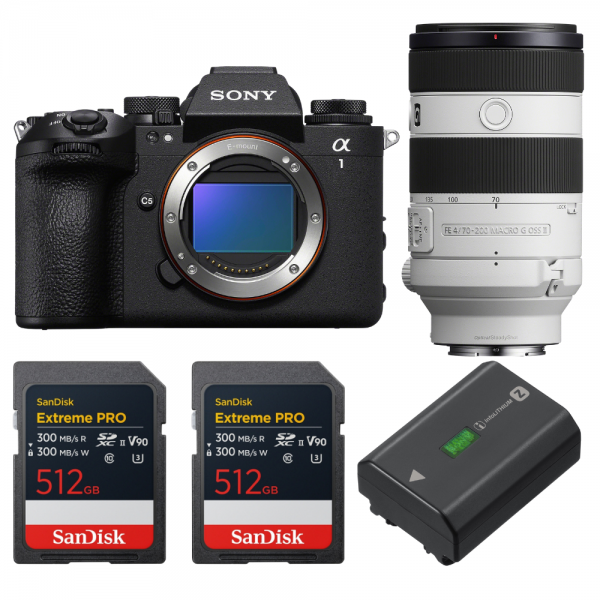 Sony alpha 1 II + FE 70-200mm f/4 Macro G OSS II + 2 SanDisk 512GB Extreme PRO UHS-II SDXC + Sony NP-FZ100-1