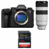 Sony alpha 1 II + FE 70-200mm f/2.8 GM OSS II + 1 SanDisk 128GB Extreme PRO UHS-II SDXC-1
