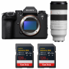 Sony alpha 1 II + FE 70-200mm f/2.8 GM OSS II + 2 SanDisk 128GB Extreme PRO UHS-II SDXC-1
