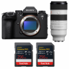 Sony alpha 1 II + FE 70-200mm f/2.8 GM OSS II + 2 SanDisk 256GB Extreme PRO UHS-II SDXC-1
