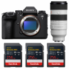 Sony alpha 1 II + FE 70-200mm f/2.8 GM OSS II + 3 SanDisk 256GB Extreme PRO UHS-II SDXC-1
