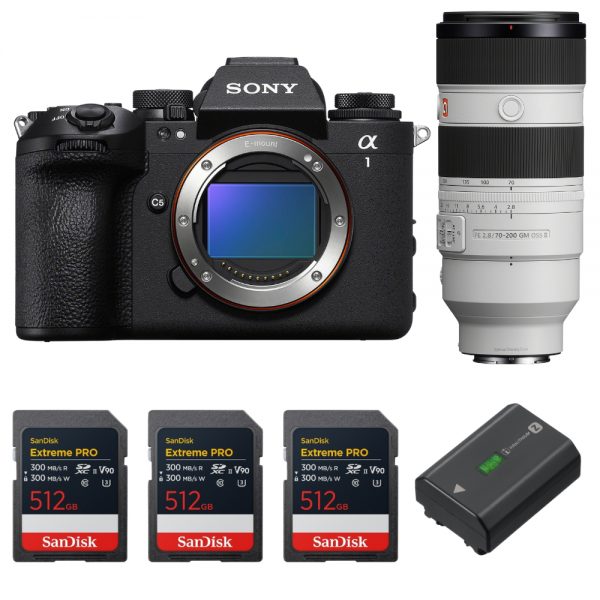 Sony alpha 1 II + FE 70-200mm f/2.8 GM OSS II + 3 SanDisk 512GB Extreme PRO UHS-II SDXC + Sony NP-FZ100-1